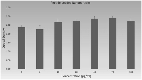 Figure 11. Cytotoxicity of peptide-loaded nanoparticles on AGS cells.