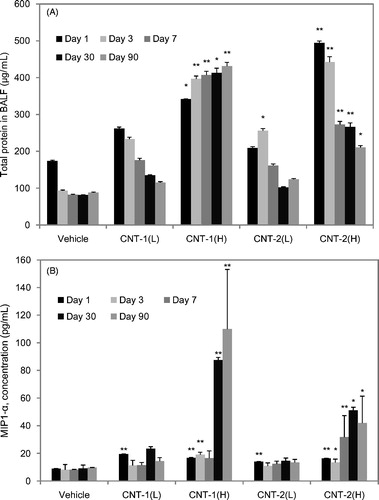 Figure 2. Total protein content and MIP-1α in BALFs following exposure of rats to CNT-1, CNT-2, or vehicle controls at the indicated time points. Total protein content (A) and the levels of MIP-1α (B) in the BALF following exposure of rats to CNT-1, CNT-2, or vehicle controls at each time point. Values are represented as the mean ± SD. The asterisk indicates a statistically significant difference compared to the vehicle control group (multiple permutation-based Welch test, *p < 0.05, **p < 0.01).