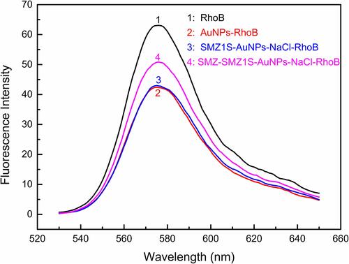 Figure 4 Fluorescence spectra of RhoB in different sample solutions. AuNPs, 180 µL; NaCl, 30 mM; SMZ1S, 80 nM; RhoB, 2.5 µM; SMZ, 1µg mL−1.