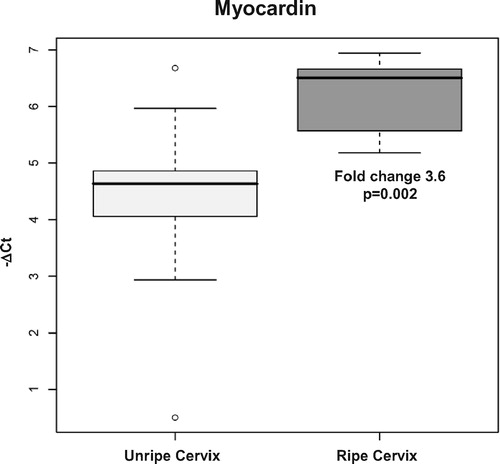 Figure 2.  Results of qRT-PCR assay of myocardin in cervical tissue in patients at term without labor: unripe cervix versus ripe cervix.