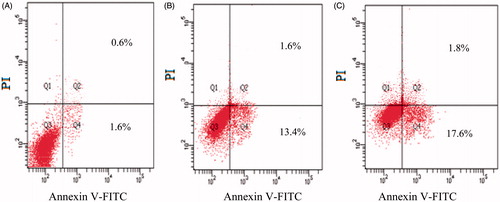 Figure 5. Flow cytometry analysis of MEZA-treated EAT cells. Cells were labeled with annexin V-FITC and PI. (A) Untreated cells, (B) cells treated with MEZA (100 mg/kg), and (C) cells treated with MEZA (200 mg/kg).