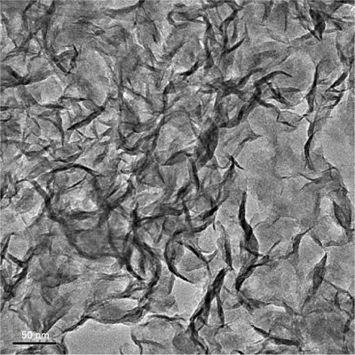 Figure S1 TEM image of MoS2 nanosheets.Abbreviation: TEM, transmission electron microscope.