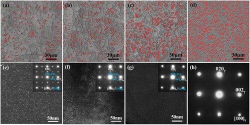 Figure 1. SEM/EBSD phase maps of the 0Cr (a), 3Cr (b), 6Cr (c) and 9Cr (d) samples, red and gray contrasts represent ferrite and austenite phases, respectively; TEM dark-field images of intragranular κ-carbide precipitates using (001)κ reflection in austenite of the 0Cr (e), 3Cr (f) and 6Cr (g) samples, respectively; (h) is [100]γ SAED pattern of austenite in the 9Cr sample. Insets in (e-g) are corresponding [100]γ SAED patterns.
