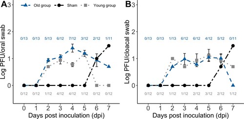 Figure 2. Experimental West Nile virus (WNV) mean (± standard error of the mean) oropharyngeal (A) and cloacal (B) viral shedding profiles for those WNV-inoculated birds in the two age groups that shed virus each day and the oropharyngeal (A) and cloacal (B) viral shedding profiles for the infected sham-inoculated bird in the old group. Numbers correspond to the ratio of WNV-inoculated birds in the young group (bottom) and old group (top) with detectable virus shed each day (and thus included in the mean and standard error of the mean calculations for each day).