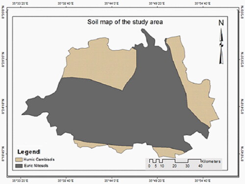 Figure 2. Soil group of YCFBR.