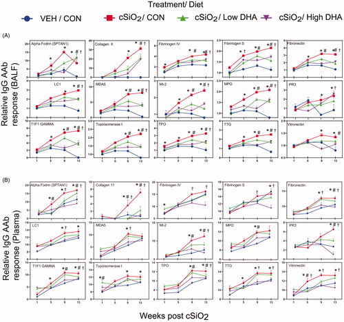 Figure 7. DHA intake inhibits cSiO2-induced expression of IgG AAbs in BALF (A) and plasma (B) specific for AAgs associated other autoimmune diseases. AAbs included those associated with rheumatoid arthritis (collagen II, fibrinogen IV, AAbs fibrinogen S, fibronectin, and vimentin), Sjögren’s syndrome (α-fodrin), systemic sclerosis (topoisomerase I)), vasculitis (MPO and PR3), myositis (Mi-2, TIF1-γ, MDA5), autoimmune hepatitis (LC-1), and coeliac disease (TTG). Relative AAb responses for selected AAgs were determined by dividing individual Ab-score by the mean Ab-score for VEH-treated mice fed control diet at week 1 PI. One-way ANOVA was used to compare experimental groups at selected time points followed by Tukey's HSD method as multiple comparison test. Data are mean ± SEM. Symbols indicate significant difference (p ≤ .05) as follows: * for cSiO2/CON vs. VEH/CON; # for cSiO2/CON vs. cSiO2/Low DHA; and † for cSiO2/CON vs cSiO2/High DHA.