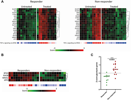 Figure 3 Differentially expressed inflammatory and glycolysis gene sets in the responder and non-responder groups. (A) After treatment: Heatmaps of inflammatory genes for bronchial epithelial cells are downregulated in treated airways compared to the untreated (middle) lobe. No differences between responders and non-responders were seen. (B and C) at baseline: Glycolysis gene expression in responders and non-responders. (B) Heatmaps of genes representing glycolysis showing that glycolysis genes are downregulated in responders. (C) Z-scores from glycolysis genes showing a significant difference between responders and non-responders.