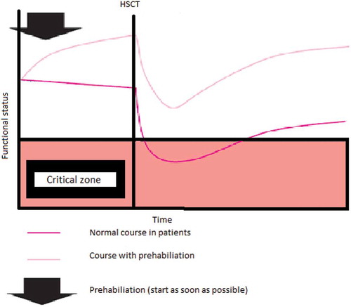 Figure 1. Theoretical model of prehabilitation in people undergoing HSCT (figure is adapted from Hulzebos and Van Meeteren, Citation2015).