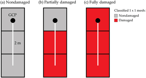 Figure 2. Categorization of damage degrees based on classification result. Black points were Ground Control Points (GCPs). White bars represented 2-m-length of field investigation range.
