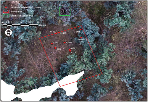 Figure 4. Locations of nine areas of interest detected in the reflection profiles in Survey Area 1 (note that 0156 and 0162 are metal).