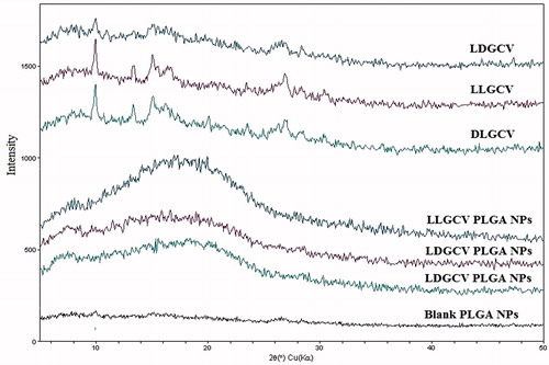 Figure 4. X-ray diffractograms of prodrugs, blank PLGA NP and prodrugs-loaded PLGA NP.