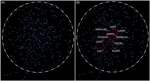 Figure 6. Protein-protein interction network for DEGs and the distribution of hub genes from Cytohubba.