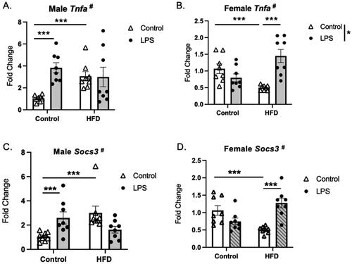 Figure 4. Diet and stressor (LPS) interact to affect Tnfa and Socs3 gene expression. (A,C) Tnfa (top) and Socs3 (bottom) gene expression in males was increased by HFD and LPS exposure separately, and HFD-fed males failed to increase gene expression in response to LPS. (B,D) In females, Tnfa and Socs3 gene expression decreased by HFD compared to controls, while HFD-fed females had an increase in gene expression, not seen in control-fed animals (HFD: high fat diet; LPS: lipopolysaccharide) (# interaction between diet and LPS, Graph legend = * main effect of stress; *p < 0.05, ***p < 0.001).