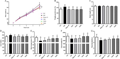 Figure 1. Effect of YK on body weight, Lee’s index, back temperature, grip strength and pain threshold of PCOS rats. (A) Body weight. (B) Weight growth rate. (C) Body length. (D) Lee’s index. (E) Back temperature. (F) Grip strength. (G) Pain threshold. Data are shown as mean ± SD (n = 10). Compared with the NG group, *p < .05, **p < .01, compared with the MG group, #p < .05, ##p < .01.