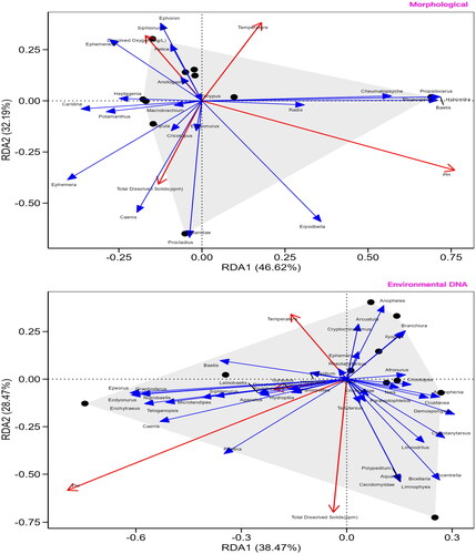 Figure 11. RDA of macroinvertebrates in Dayang River Basin based on morphological and environmental DNA surveys.