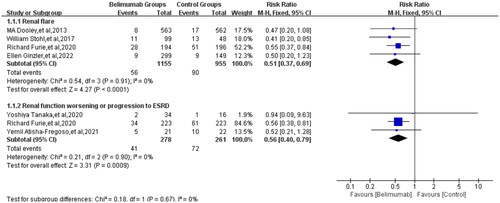 Figure 4. Comparison of renal flare rate between the belimumab and control groups.