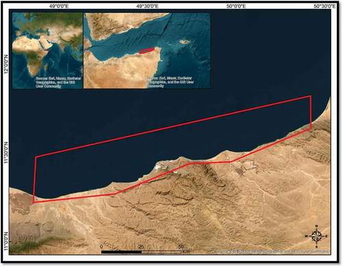 Figure 1. Study area of the Somalian Puntland coast with the 175 km area of interest highlighted in red.