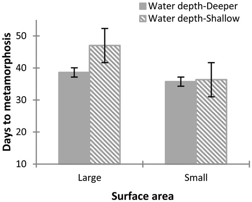 Figure 5 Differences observed in days to metamorphosis for Physalaemus albonotatus tadpoles exposed to different water depth and surface areas. The values are means (± SE). Tadpoles reach metamorphosis earlier in containers with small surface area than in one with large surface area. No significant difference was observed in the interaction of both factors.