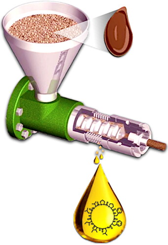 Figure 2. Cold pressing oil expeller used to produce LO.