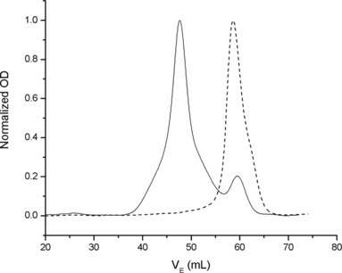 Figure 3 Size exclusion chromatography of HbA (Ve 60 ml, as for a protein with MW 64 kDa) and Poly-500 (Ve 48 ml, as for a protein with MW 500 kDa).