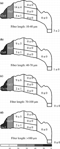 Figure 7 Fiber deposition map for an inspiratory flow rate of 30 l/min. Deposition fractions for each region and subregion are shown in percent (0 represents the value of the fraction < 0.5%).