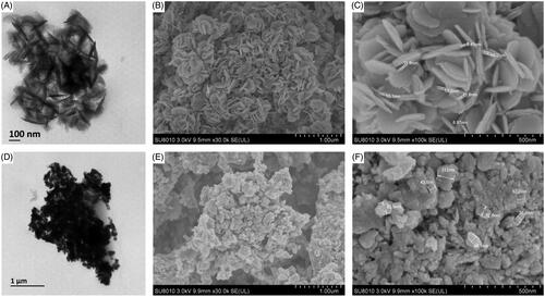 Figure 4. Transmission electron micrographs of synthesized nanomaterials of (A) MgO nanoparticles (D) Manganese dioxide nanoparticles. Magnification 50,000X, Bar = 100 nm for A and 15,000X, Bar = 1 µm for D and Scanning electron micrographs of synthesized nanomaterials of (B and C) Magnesium oxide nanoparticles (E and F) Manganese dioxide nanoparticles.