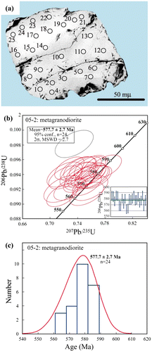 Figure 10. (a) BSE image of monazite grain from metagranodiorite (type-1; 05-2); (b) Concordia diagram; (c) histogram with probability density curve of U-Pb monazite ages. Error ellipses are 2σ.