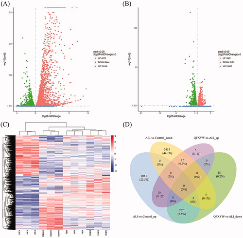 Figure 3. Transcriptomics analysis of QFXYW treated ALI. (A) Volcano map of the control group; (B) Volcano map of the ALI group; (C) Heatmap of the control, DEX, QFXYW, and ALI groups. (D) Venn diagram of differentially expressed genes. ALI: acute lung injury; DEX: dexamethasone; QFXYW: Qingfei Xiaoyan Wan.