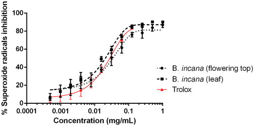 Figure 3. Antioxidant activity against superoxide radicals by B. incana leaf and flowering top hydroalcoholic extracts. Trolox was used as positive control substance.