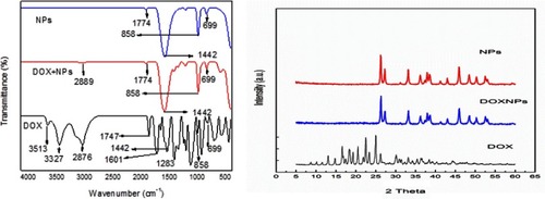 Figure 5 FT-IR and XRD patterns of NPs, DOX-NPs, and DOX.Abbreviations: DOX, doxorubicin; NPs, nanoparticles; FT-IR, Fourier-transform infrared spectroscopy; XRD, x-ray powder diffraction.