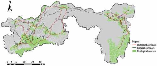 Figure 6. Ecological corridor network.