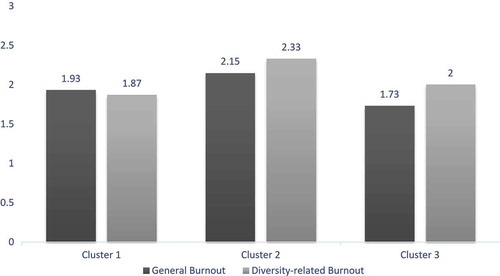 Figure 1. Mean general and diversity-related burnout scores by cluster.