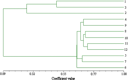 Figure 3 The dendrogram of the 12 T. kirilowii accessions generated by UPGMA from the similarity matrix of AFLP data (calculated with Jaccard’s method). The number in the figure corresponds to the accession number of Table 1.
