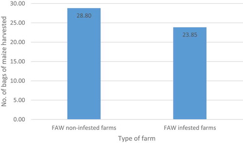 Figure 2. FAW infestation and maize output.