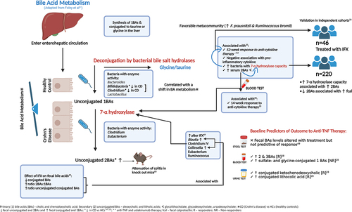 Figure 3. Related microbial predictors of response of therapy.