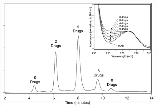 Figure 2 Hydrophobic interaction chromatography (HIC) analysis of a mAb-vc-MMAE on a TOSOH Biosciences Butyl-NPR column yields five predominant peaks that correspond to mAb containing zero, two, four, six and eight drugs. Inset: an overlay of the UV spectra of the starting mAb and the HIC peaks, normalized to the 280 nm absorbance, showing the increase in the 248 nm absorbance as the level of conjugated drug-linker increases. Method is similar to that described in Hamblett, et al.Citation23