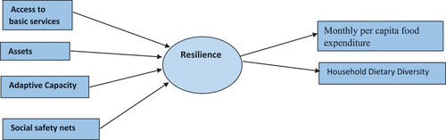 Figure 1. Resilience conceptual framework (FAO, Citation2016).