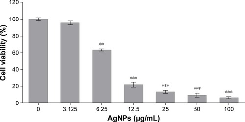 Figure 8 MTT assay results confirming the in vitro cytotoxicity effect of the synthesized AgNPs against AGS cells after 24 hours.Notes: Data are expressed as mean ± SD of three experiments. Percentage of viability is expressed relative to untreated controls (**P<0.01; ***P<0.001).Abbreviations: MTT, 3-(4,5-dimethylthiazol-2-yl)-2,5-diphenyl-tetrazolium bromide; AgNPs, silver nanoparticles; SD, standard deviation.