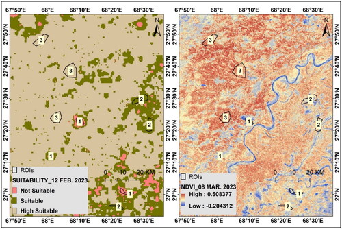 Figure 12. Model validation comparing the predicted suitability for February 2023 with NDVI values obtained from landsat image in March 2023.