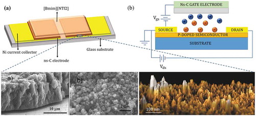 Figure 2. (a) Schematic representation of a planar ns-C-based supercapacitor, as described in Ref [Citation13], and (b) of an electrolyte-gated transistor, as described in Refs [Citation55,Citation61]. SEM and AFM images show, at different magnification, the granular and rough morphology of the porous bulk and upper surface of ns-C film. Partially adapted with permission from Ref [Citation60]