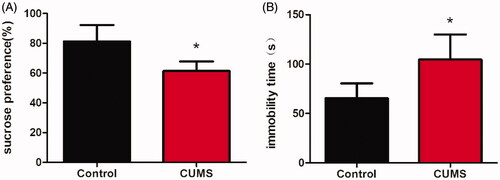 Figure 4. The depression-like behavior of mice induced by CUMS. Changes of the sucrose preference in CUMS mice (A) and the immobility time in tail suspended test of mice after CUMS (B). Data are expressed as Mean ± SEM, n = 8–10. *p < 0.05.