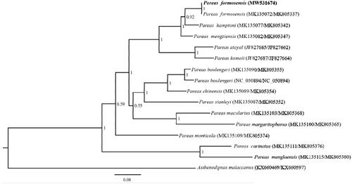 Figure 1. The phylogenetic tree were analyzed with Bayesian inference (BI) method, based on CYTB and NAD4. The GenBank accession number of CYTB and NDA4 are listed in the figure (CYTB/NDA4).