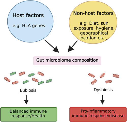 Figure 1. Factors affecting gut microbiota and a potential mechanism through which gut microbiota affects the host during health and disease. Host-specific factors such as host genetics and non-host factors like diet can influence gut microbiota composition. During homeostasis, an eubiotic gut microbiota maintains a diverse beneficial microbiota (symbiont) that induces a balanced immune response. However, during dysbiosis, there is depletion and/or enrichment of pro-inflammatory microbiota (pathobionts), which shift the balance between pro and anti-inflammatory responses toward an inflammatory phenotype linked with multiple diseases, including MS. Figure created with BioRender.com.