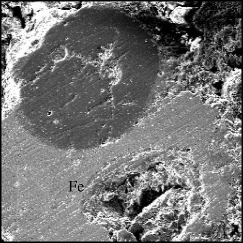 Figure 4. Electron micrograph of an electric arc furnace steel slag aggregate showing a piece of embedded iron (Fe).