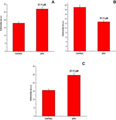 Figure 8 Graphical representation in terms of percent (A) nuclear condensation, (B) mitochondrial content, and (C) intracellular ROS generation. All the data were expressed in the mean ±SD of three experiments.