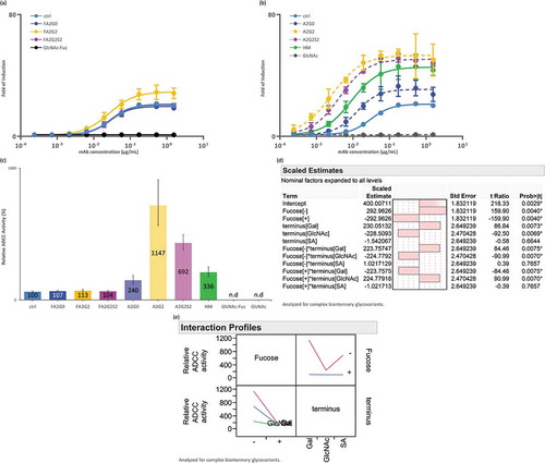 Figure 6. ADCC activity was increased by core defucosylation and terminal galactosylation, decreased by further sialylation in reporter bioassay for FcγRIIIa. Nuclear factor of activated T-cells (NFAT) engineered Jurkat cells expressing FcγRIIIa were incubated with target antigen expressing CHO-K1 cells. Receptor binding activates gene transcription through the NFAT pathway in effector cell leading to luciferase production and subsequent luciferase substrate addition was followed by luminescence detection. (a) Response curves of mAb-ctrl and fucosylated glycoforms. (b) Response curves of mAb-ctrl and non-fucosylated glycoforms. (c) Relative binding activity from EC50 of glycoforms. n.d: not determined. (d) JMP analysis: scaled estimates of effect of glycosylation for ADCC activity. Analyzed for complex biantennary glycoforms. (e) JMP analysis: Interaction profile of terminal glycosylation for ADCC activity. Analyzed for complex biantennary glycoforms. In lower left panel, red: Gal, blue: SA, and green: GlcNAc. Significant statistical interaction between core fucosylation and terminal galactosylation (d-e). Error bars represent 95% confidence interval of n = 3 (a-c).