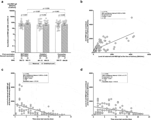 Figure 3. (a) Comparative geometric mean concentrations (GMCs) of maternal and cord blood anti-SARS-CoV-2 RBD IgG at delivery by vaccine regimen. (b) Pearson’s correlation coefficient (PCC) of umbilical cord anti-RBD IgG level against maternal anti-RBD IgG at delivery. (c) PCC of maternal anti-RBD IgG at time of delivery against time since the second vaccination. (d) PCC of umbilical cord blood anti-RBD IgG at the time of delivery against time since the second vaccination. (r) represents PCC.