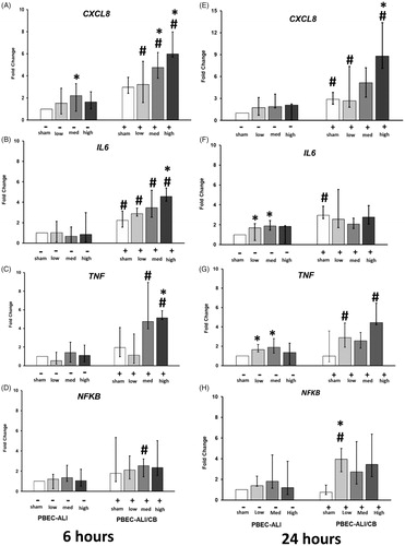 Figure 4. Transcript expression of pro-inflammatory markers in normal (PBEC-ALI: −) and interleukin-13 (IL-13) induced chronic bronchitis-like mucosa models (PBEC-ALI/CB: +) after 6 h (A–D) and 24 h (E–H) incubation following exposure to carbon nanoparticles (CNP). Fold change of CXCL8 (A and E), IL6 (B and F), TNFα (C and G), and NFKB (D and H) 6 h and 24 h post-exposure to sham (clean air), low (2.5 μg/cm2), medium (9.4 μg/cm2), and high (14 μg/cm2) CNP doses. Data presented as median and 25th–75th percentiles (n = 9) and normalized to sham exposure of PBEC-ALI. *: p < 0.05 within-group comparison of effects; effects of CNP exposure at all three concentrations vs corresponding sham (PBEC-ALI or PBEC-ALI/CB), #: p < 0.05 between-group comparisons (PBEC-ALI/CB vs PBEC-ALI) between sham or corresponding dose of CNP.