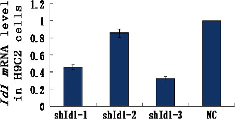 Figure 3. Id1 mRNA levels of each group analysed by real-time PCR.