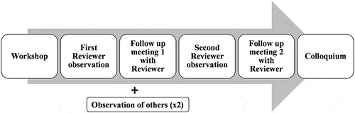 Figure 1. Outline of the peer observation and review of teaching (PORT) program